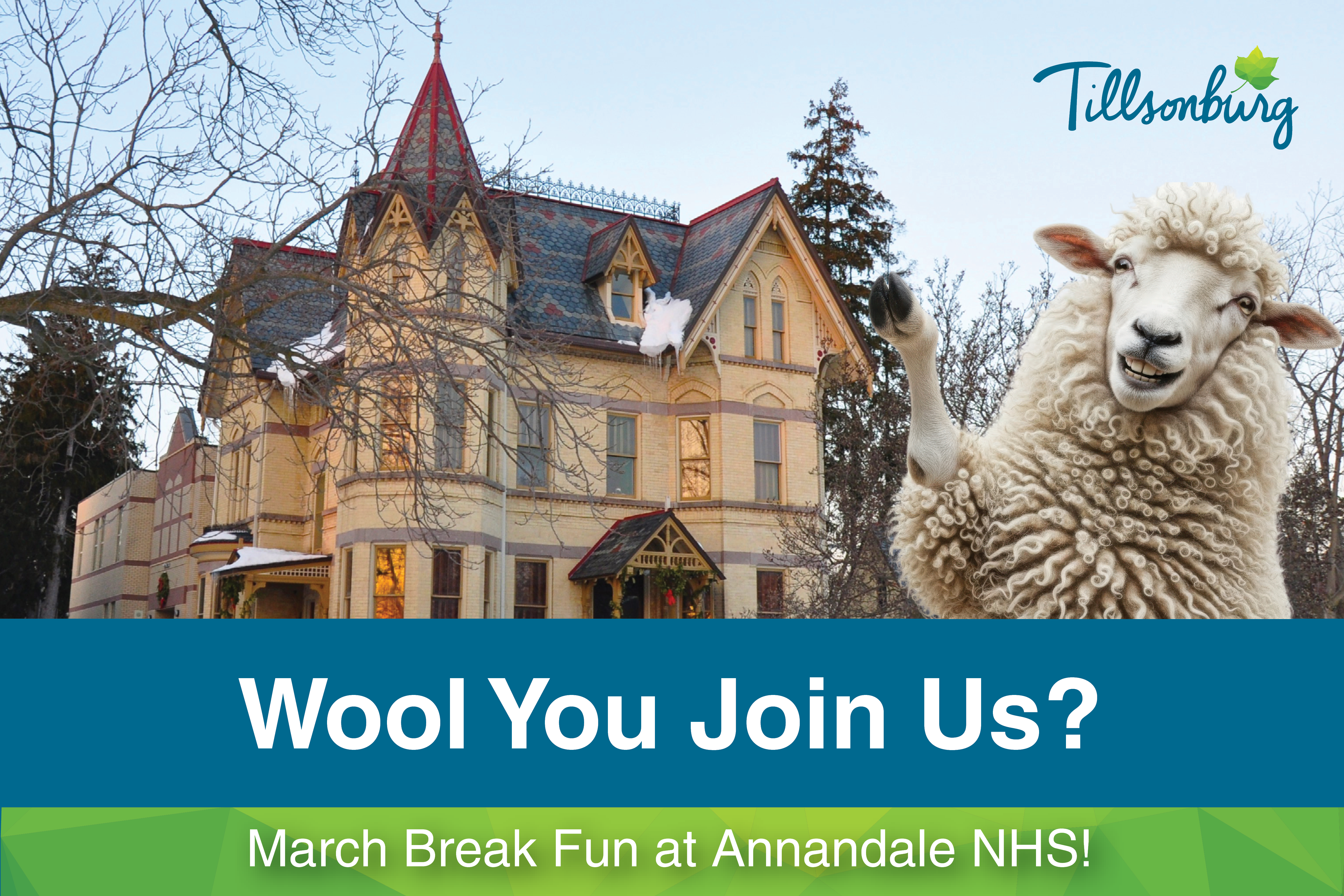 Wool You Join Us? March Break Fun at Annandale NHS!